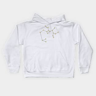 SAGITTARIUS CONSTELLATION Kids Hoodie